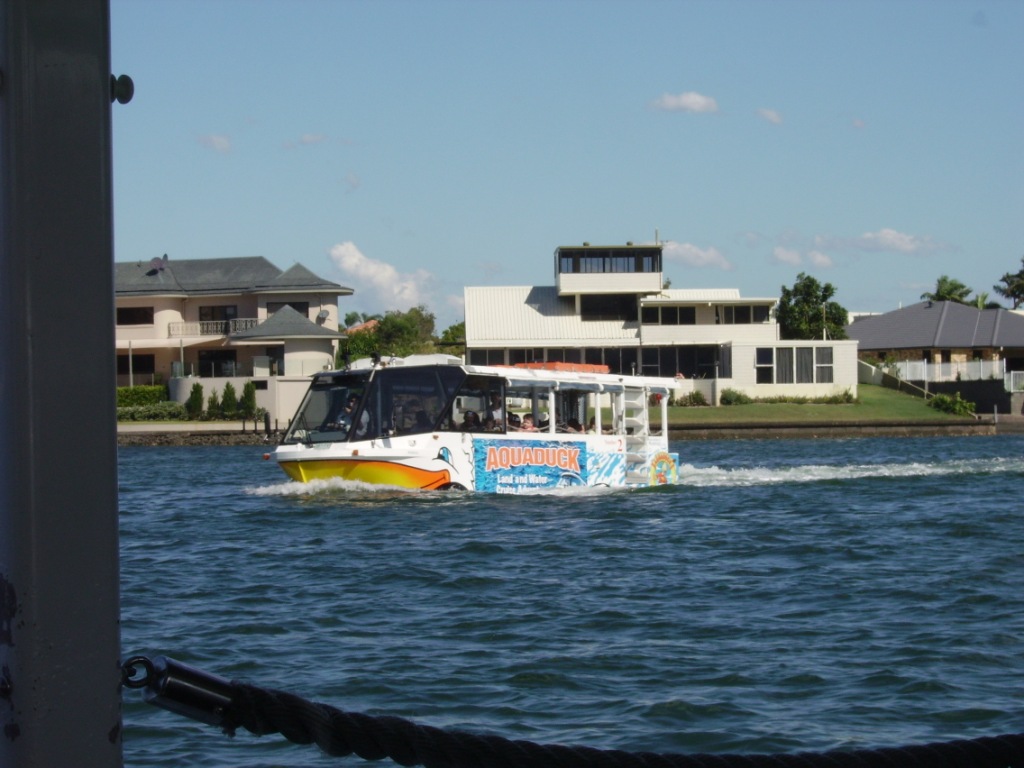 Aquaduck1