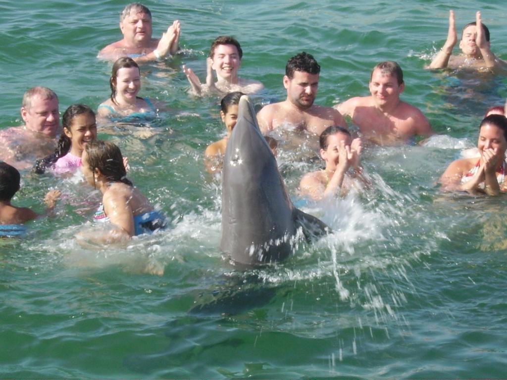 Tleskajici delfin