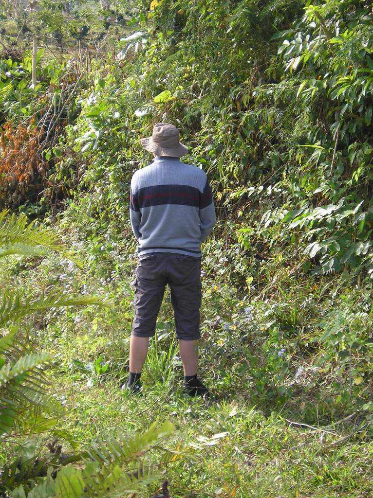 When nature calls...