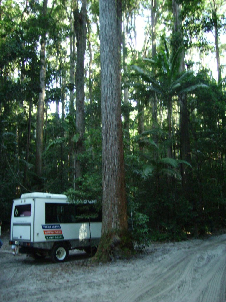 Fraser Island
