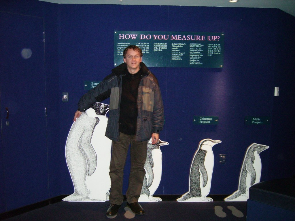 Penguins.JPG