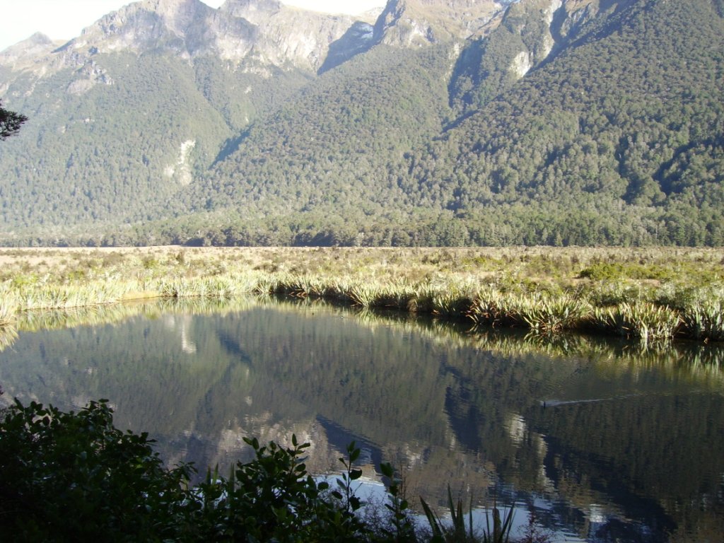 Mirror Lake 2.JPG