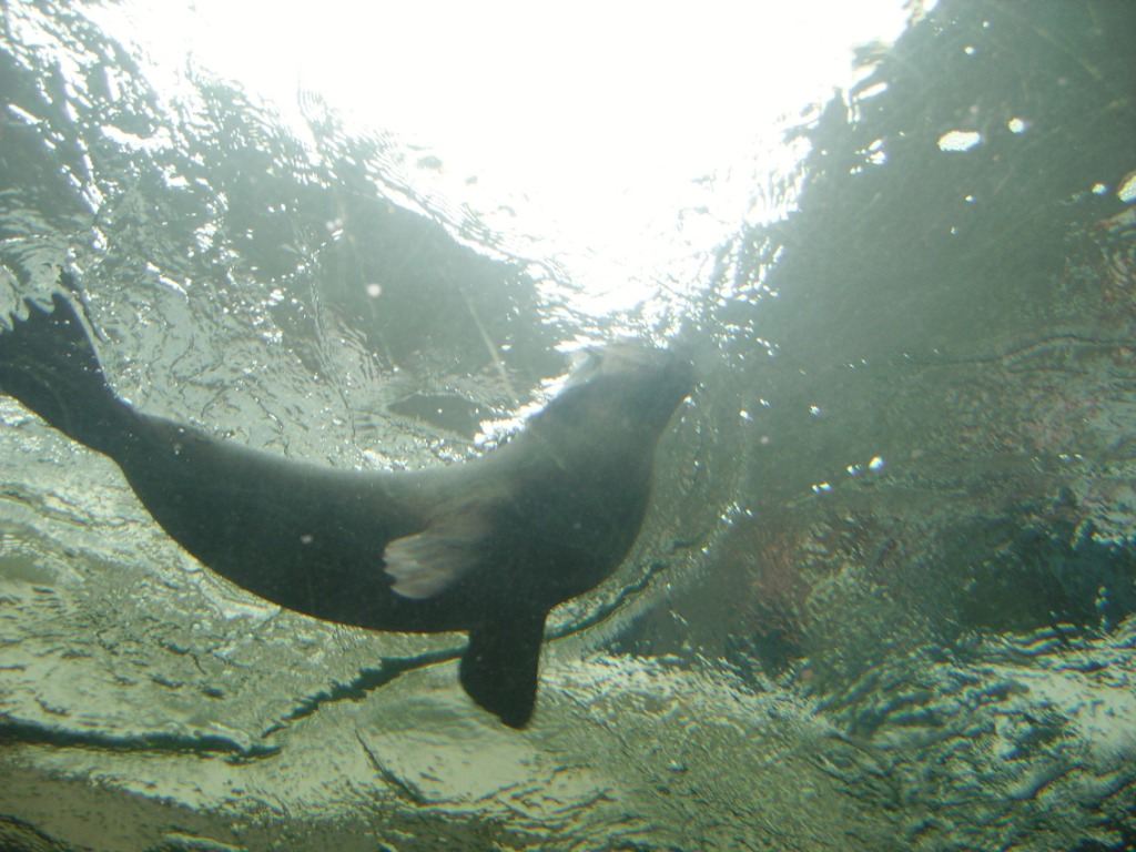 Sydney Aquarium