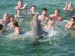 Tleskajici delfin
